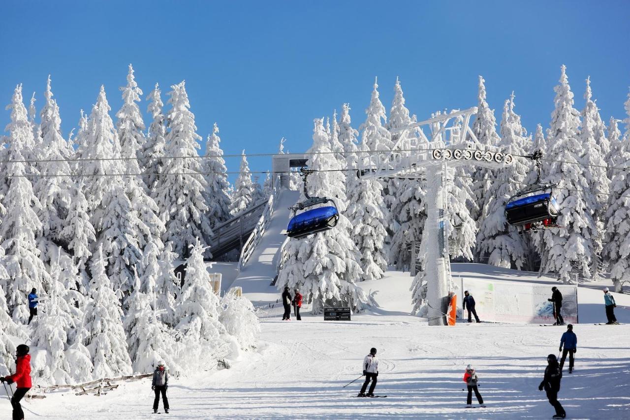 Apartman Dante Spindleruv Mlyn 아파트 외부 사진